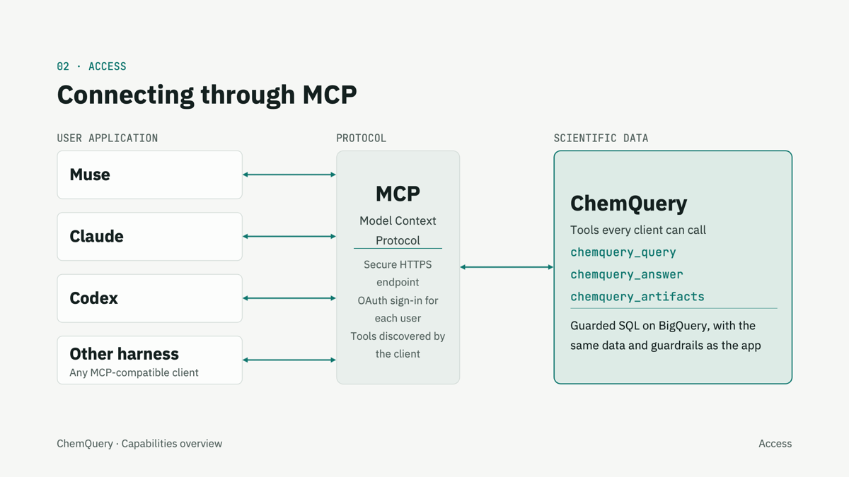 Connecting through MCP: user applications Muse, Claude, Codex, and other harnesses connect through the Model Context Protocol, with a secure HTTPS endpoint and OAuth sign-in, to ChemQuery tools (chemquery_query, chemquery_answer, chemquery_artifacts) running guarded SQL on BigQuery